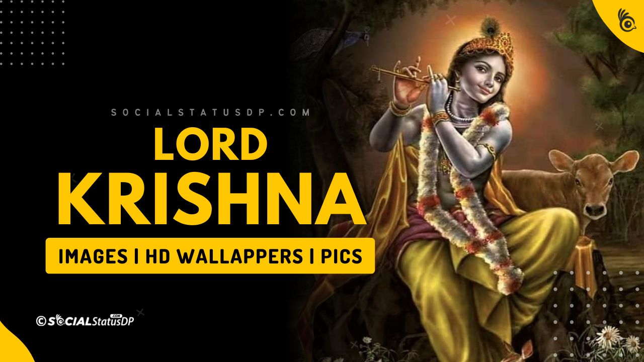 Lord Krishna Blue (Base) Decorative 3D Interior Wallpaper, For Office,  Size: 10*16 Feet