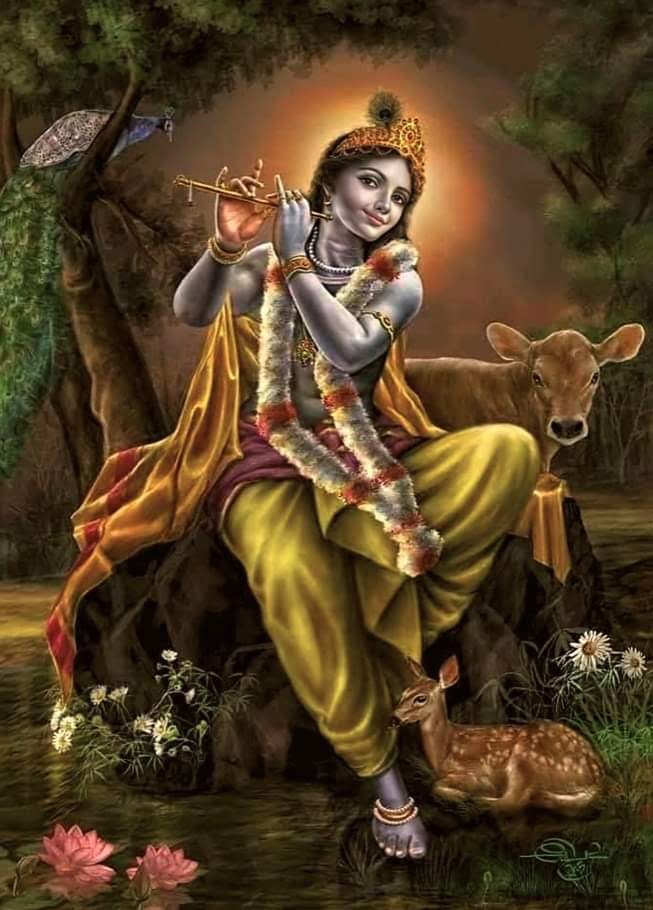 60 Cute krishna images  Best Images of Lord Krishna  Radha Krishna Images  Hd  Krishna Wallpapers  Desi Babu