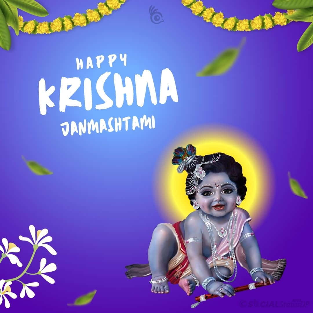 Krishna Janmashtami 2024 Usa State Catie Evangeline